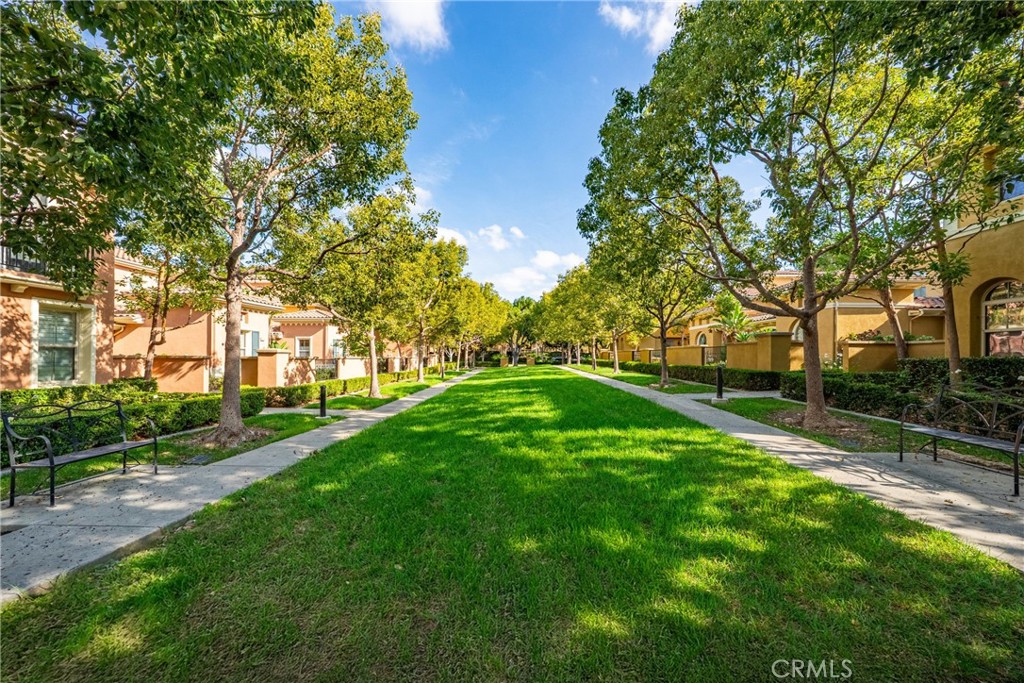 123 Chantilly Irvine, CA 92620 - Photo 31 of 31 a view of a park with large trees