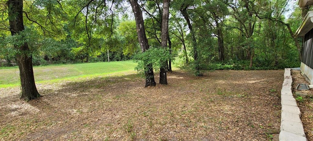 19156 Southwest 101st Street Dunnellon, FL 34432 - Photo 26 of 28