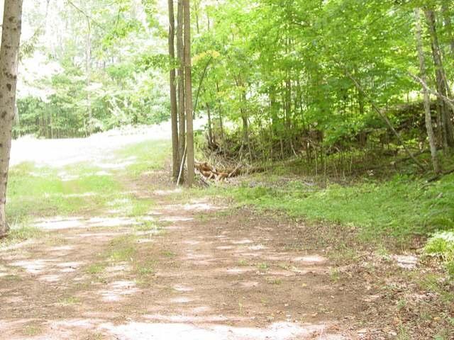23-24 Trails End Road Manitowish Waters, WI 54545 - Photo 7 of 10 Gallery Image 7