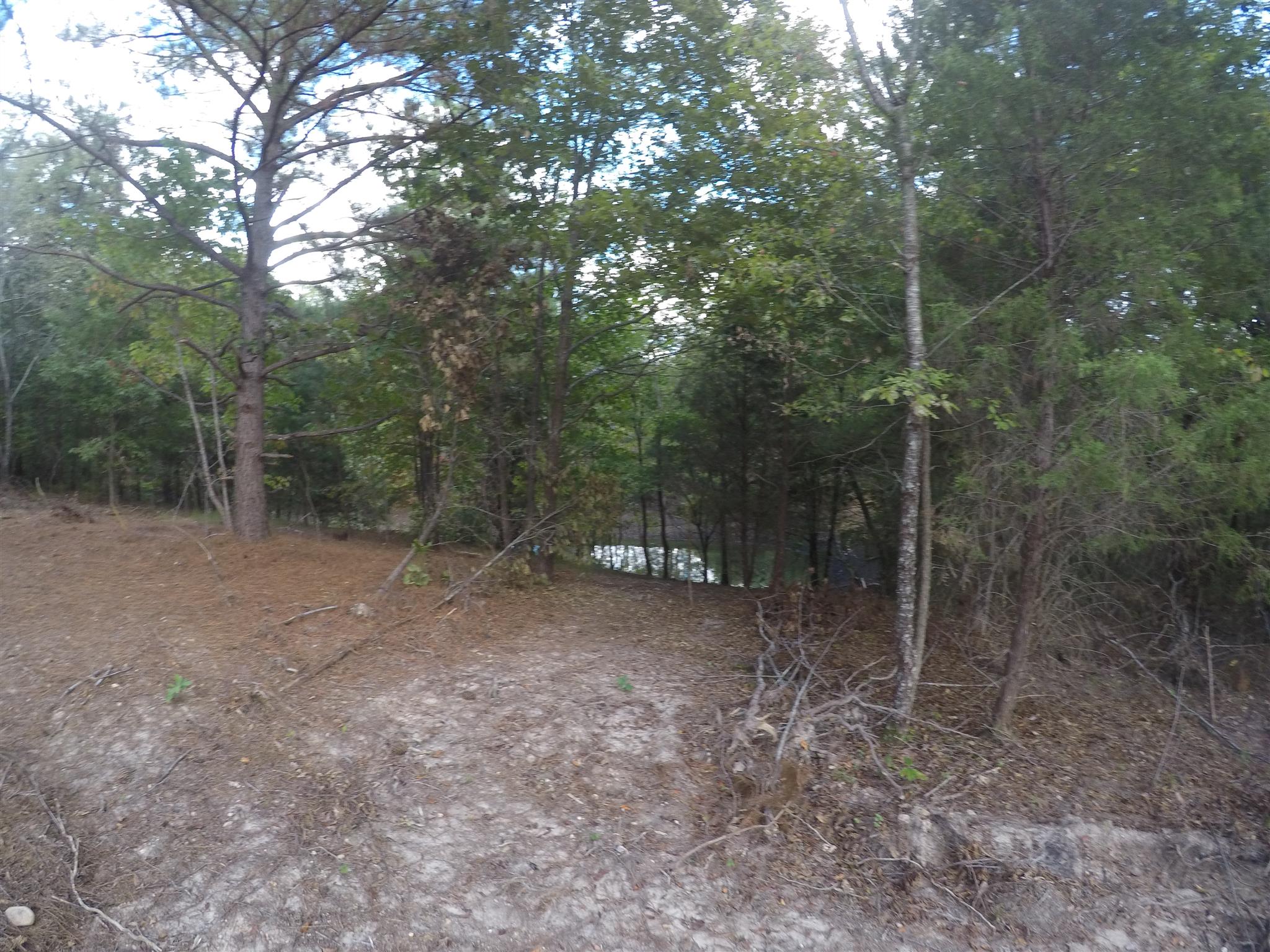 790 Buffalo Road Hohenwald, TN 38462 - Photo 14 of 19 Gallery Image 14
