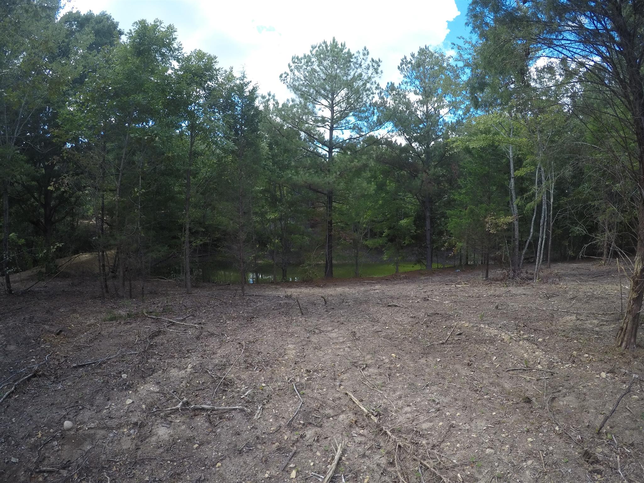 790 Buffalo Road Hohenwald, TN 38462 - Photo 9 of 19 Gallery Image 9