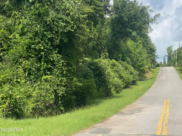 $55,000 | 0 Caverns Road, Unit 12, Marianna, FL 32446