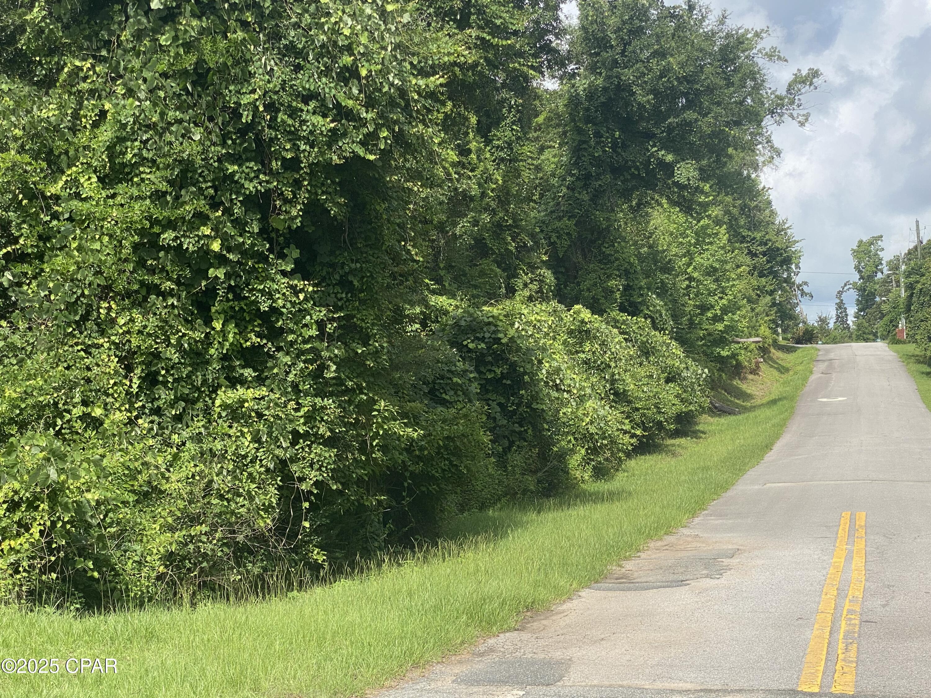 0 Caverns Road, Unit 12 Marianna, FL 32446 - Photo 2 of 10