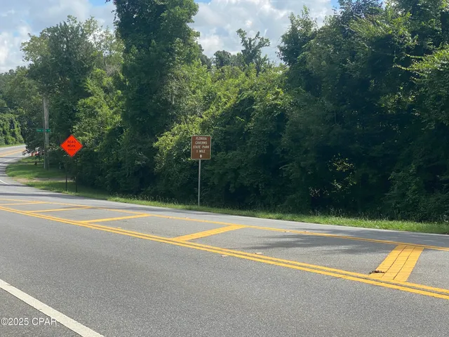 $55,000 | 0 Caverns Road, Unit 12, Marianna, FL 32446