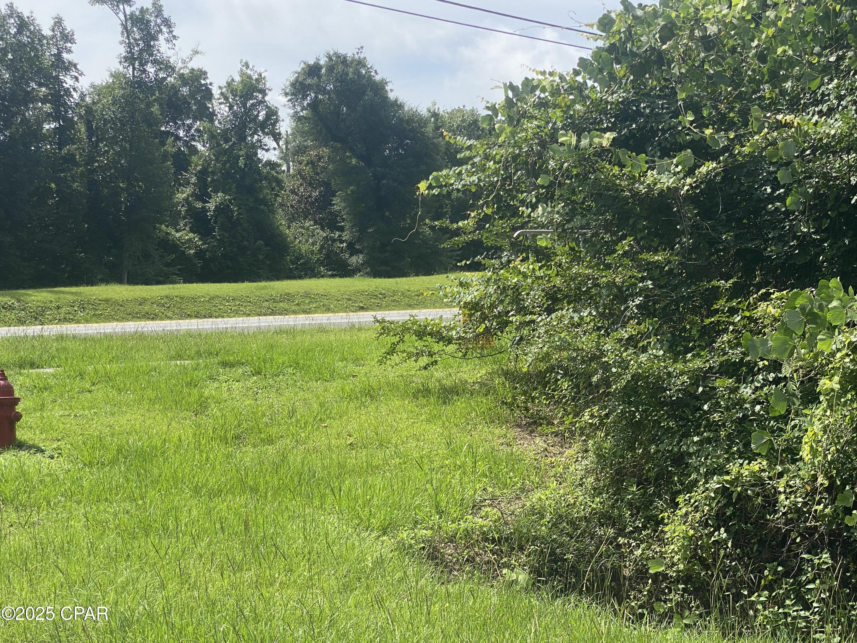 0 Caverns Road, Unit 12 Marianna, FL 32446 - Photo 4 of 9