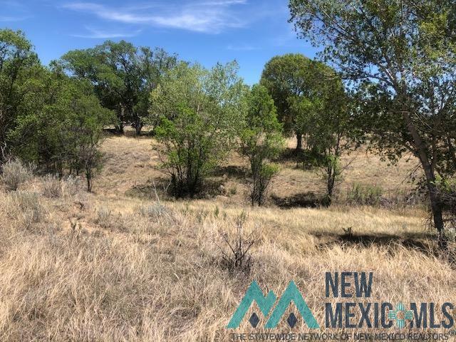 Hwy Hwy 555th Raton Nm 87740 Raton, NM 87740 - Photo 1 of 1