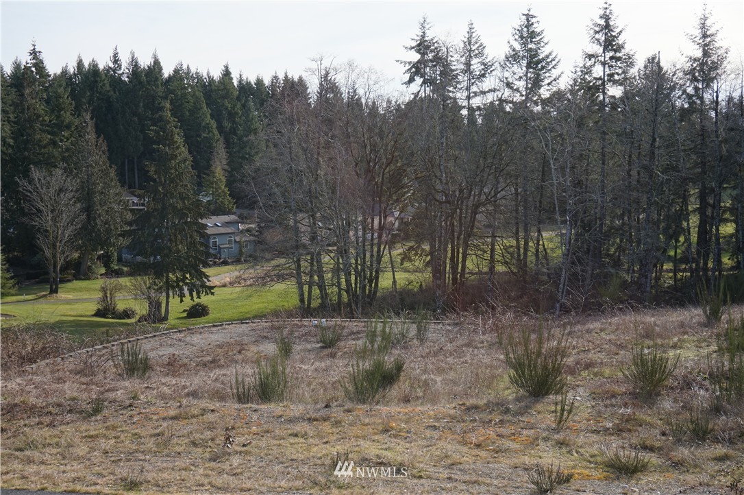 920 East Old Ranch Road, Unit 2 Allyn, WA 98524 - Photo 4 of 5 Gallery Image 4