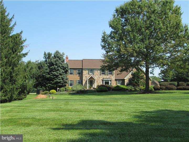Front Yard