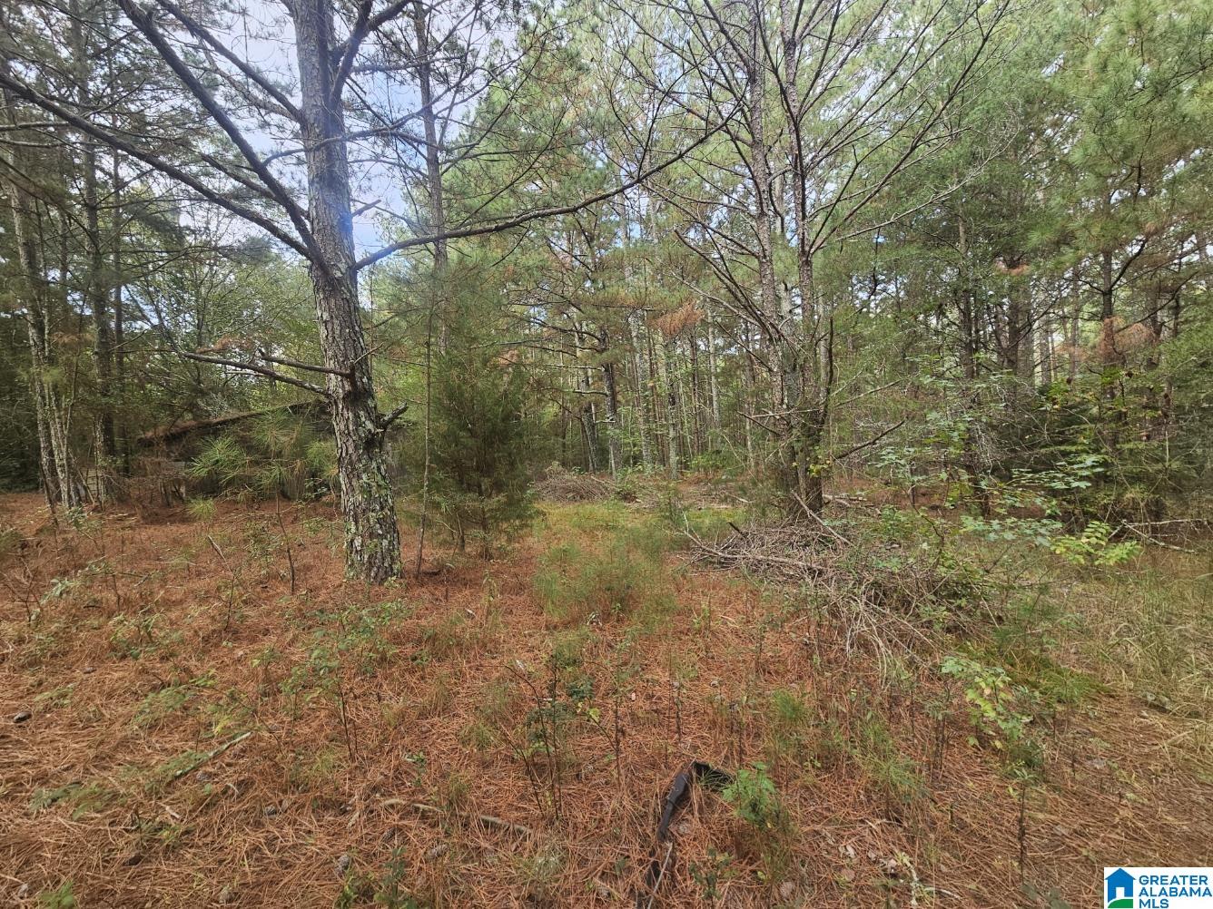 5288 Highway 27 Springville, AL 35146 - Photo 25 of 25