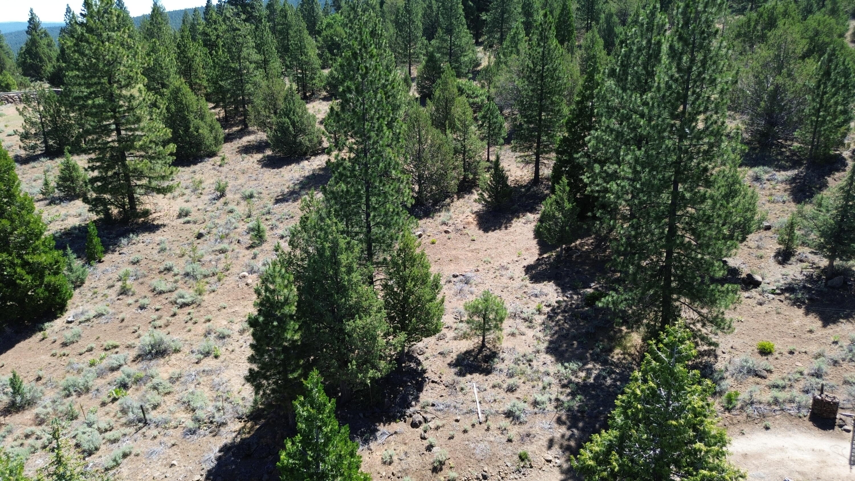 542-405 Punkin Center Road Bieber, CA 96009 - Photo 125 of 127 DJI_0400