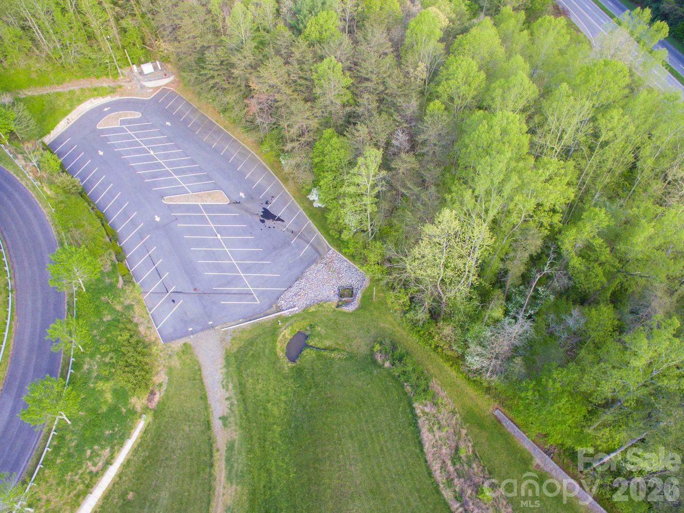 303 Gashes Creek Road Asheville, NC 28803 - Photo 5 of 15 a view of a yard with plants