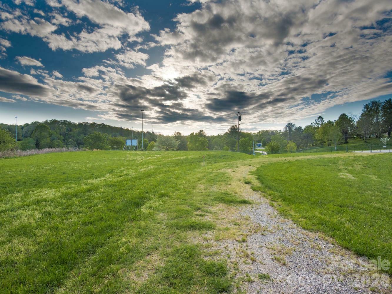 303 Gashes Creek Road Asheville, NC 28803 - Photo 9 of 15 a view of a big yard with plants and a large tree