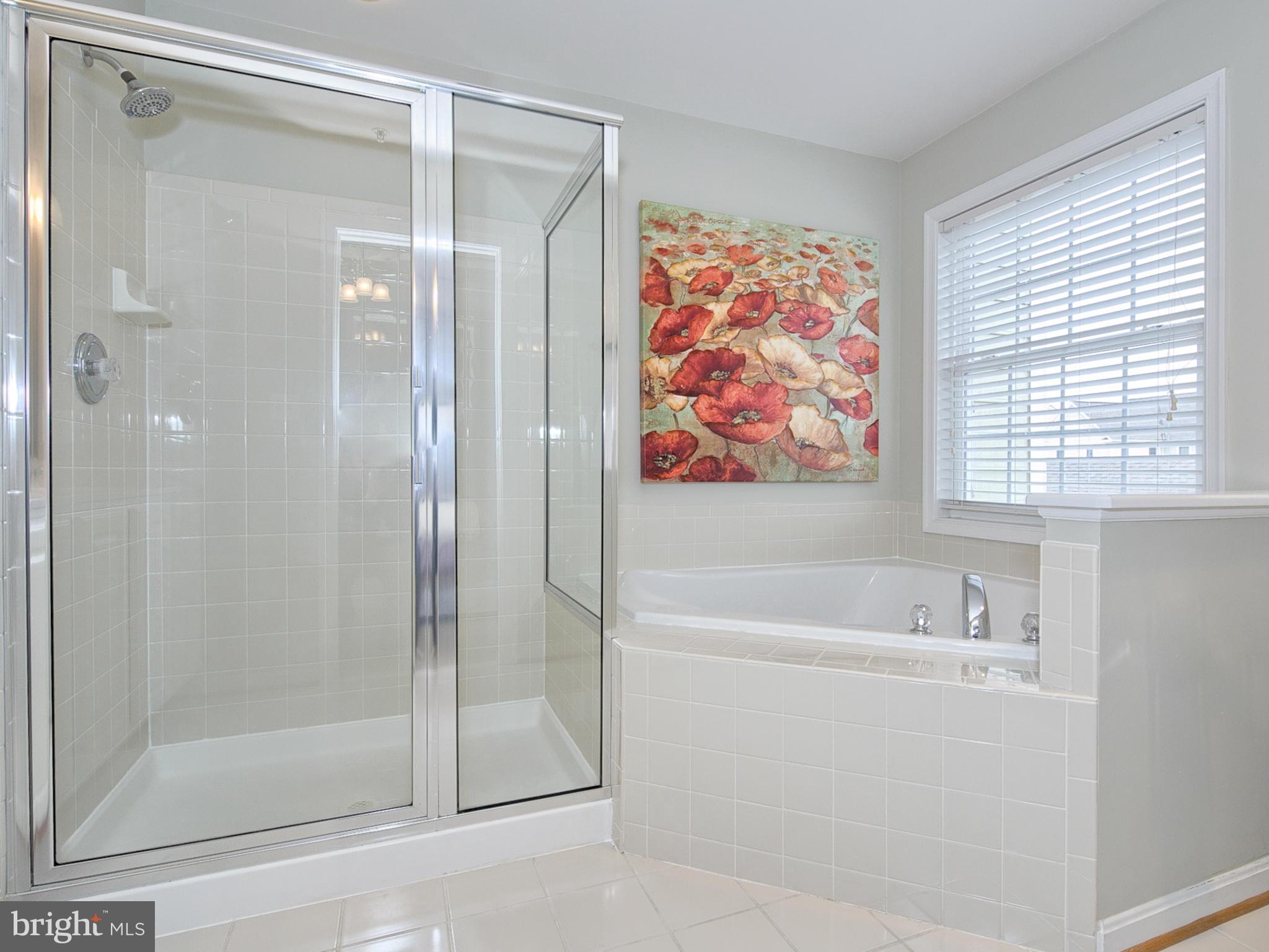 3907 Addison Woods Road Frederick, MD 21704 - Photo 16 of 30 Bath (Master)