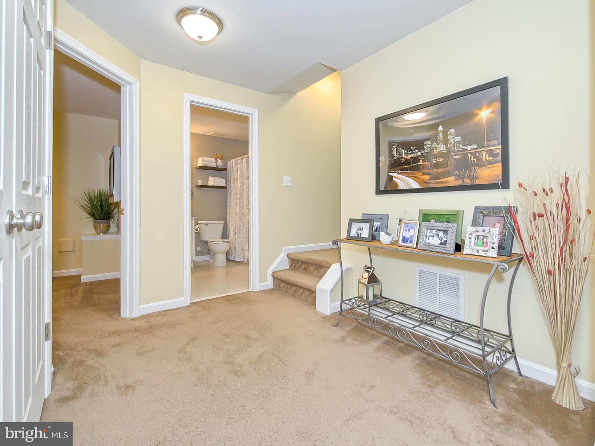 3907 Addison Woods Road Frederick, MD 21704 - Photo 23 of 30 Basement