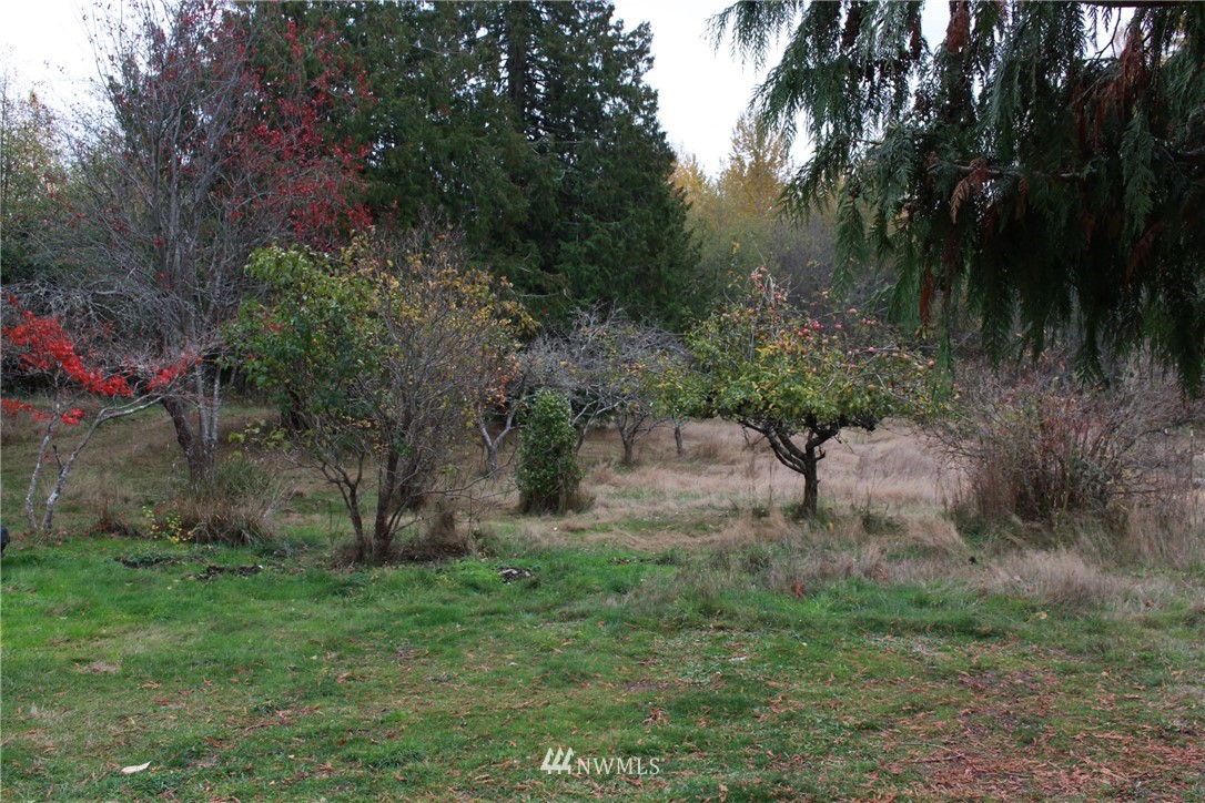 1085 Lower Elwha Road Port Angeles, WA 98363 - Photo 6 of 18 Gallery Image 6