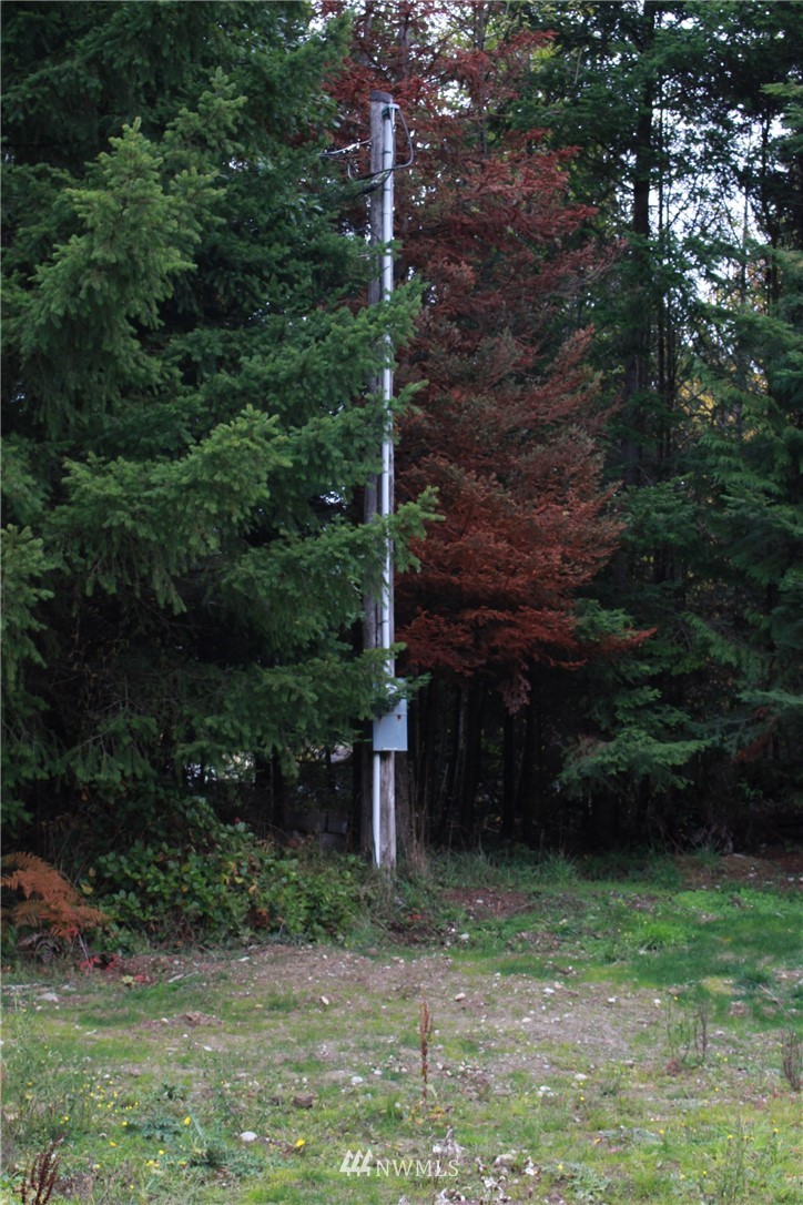 1085 Lower Elwha Road Port Angeles, WA 98363 - Photo 8 of 18 Gallery Image 8