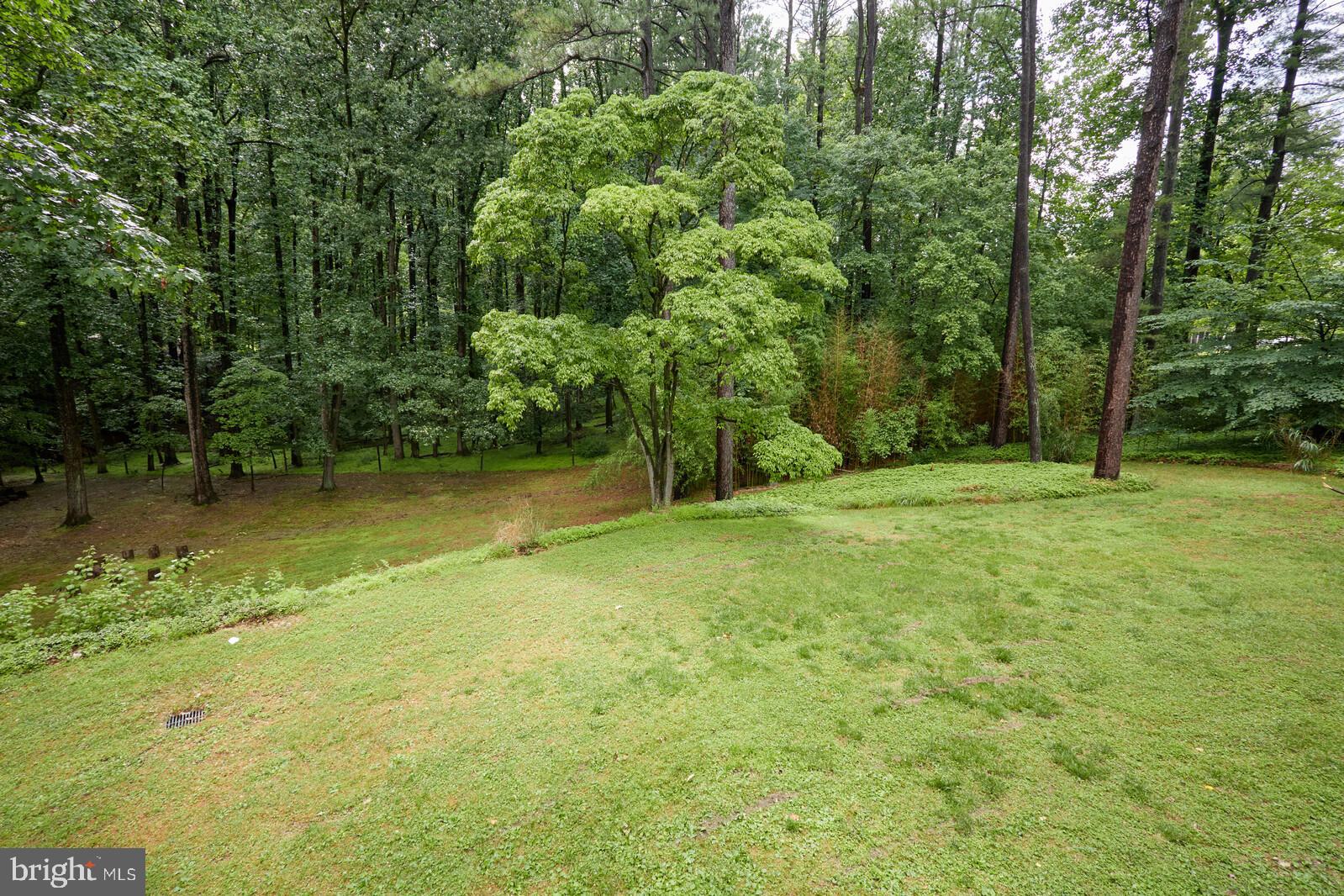 8300 Kingsgate Road Potomac, MD 20854 - Photo 42 of 51 Large Rear Lot