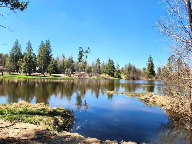 a view of a lake with houses in the back