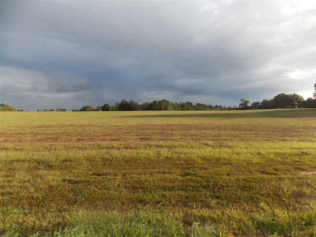 Tract A-1 Joe Black Road Pelzer, SC 29669 - Photo 1 of 3