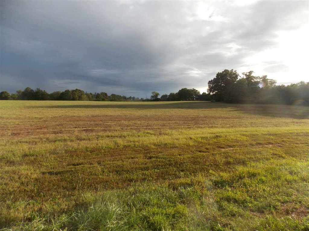 Tract A-1 Joe Black Road Pelzer, SC 29669 - Photo 2 of 3