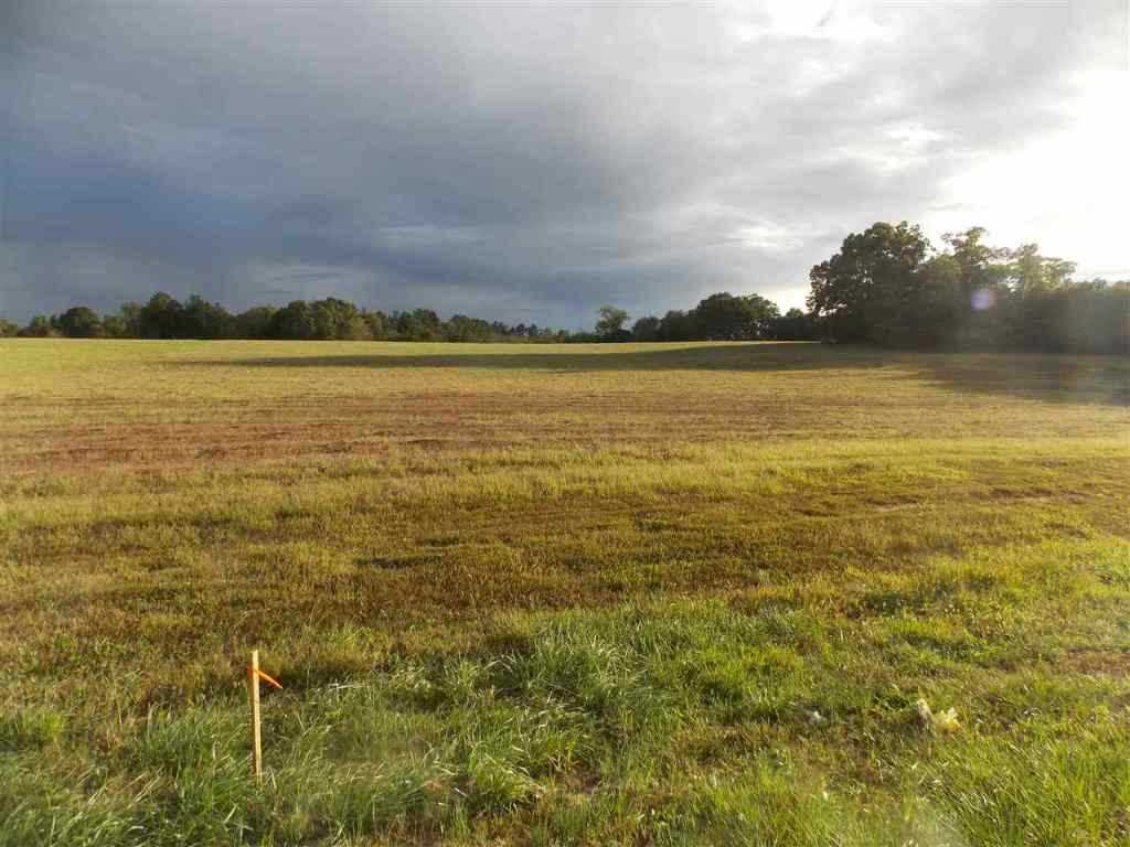 Tract A-1 Joe Black Road Pelzer, SC 29669 - Photo 3 of 3