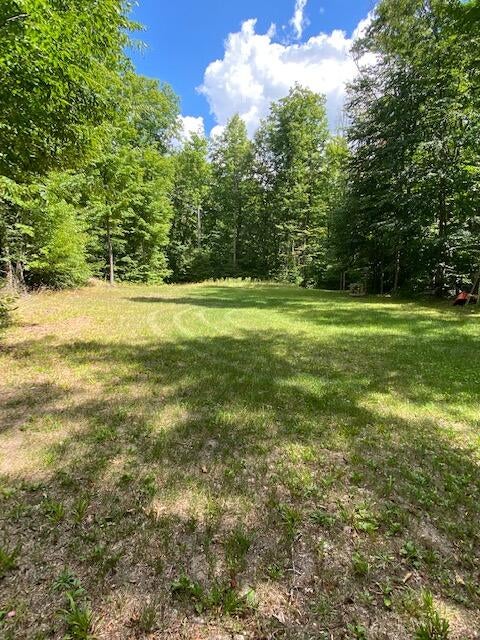 West Townline Road Grayling, MI 49738 - Photo 29 of 44 Gallery Image 29