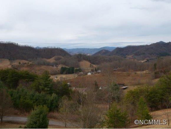44 Woodhaven Ridge Clyde, NC 28721 - Photo 3 of 24