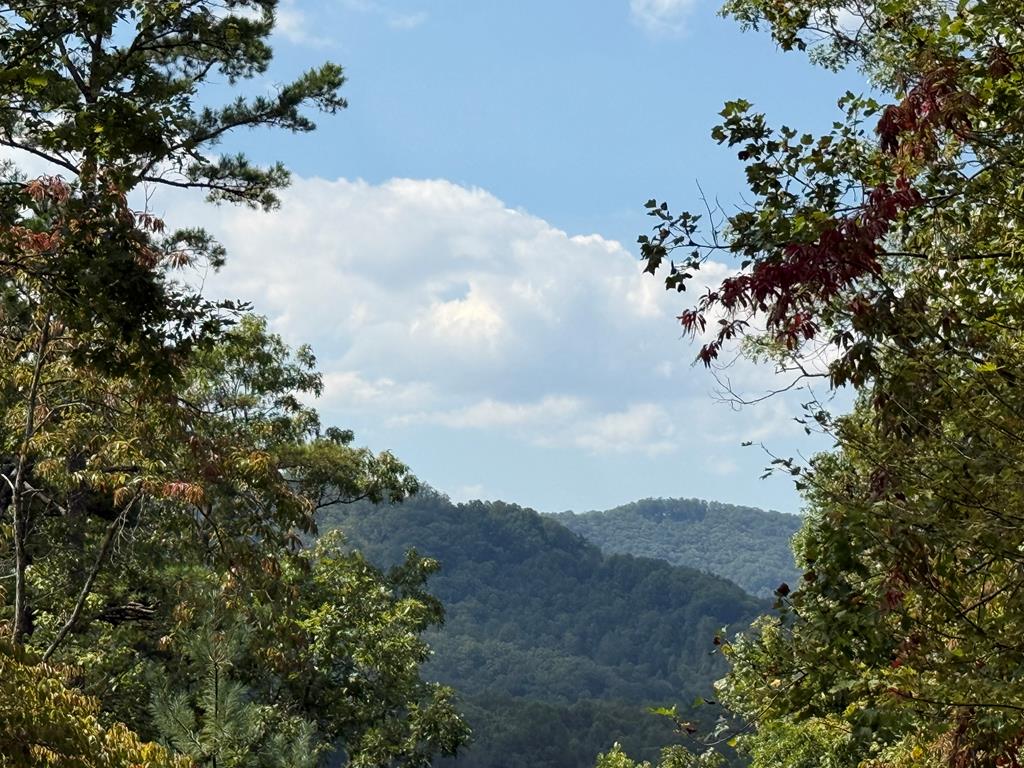 0 Bethabara View Hayesville, NC 28904 - Photo 5 of 15
