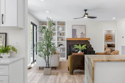 a living room with furniture and a potted plant