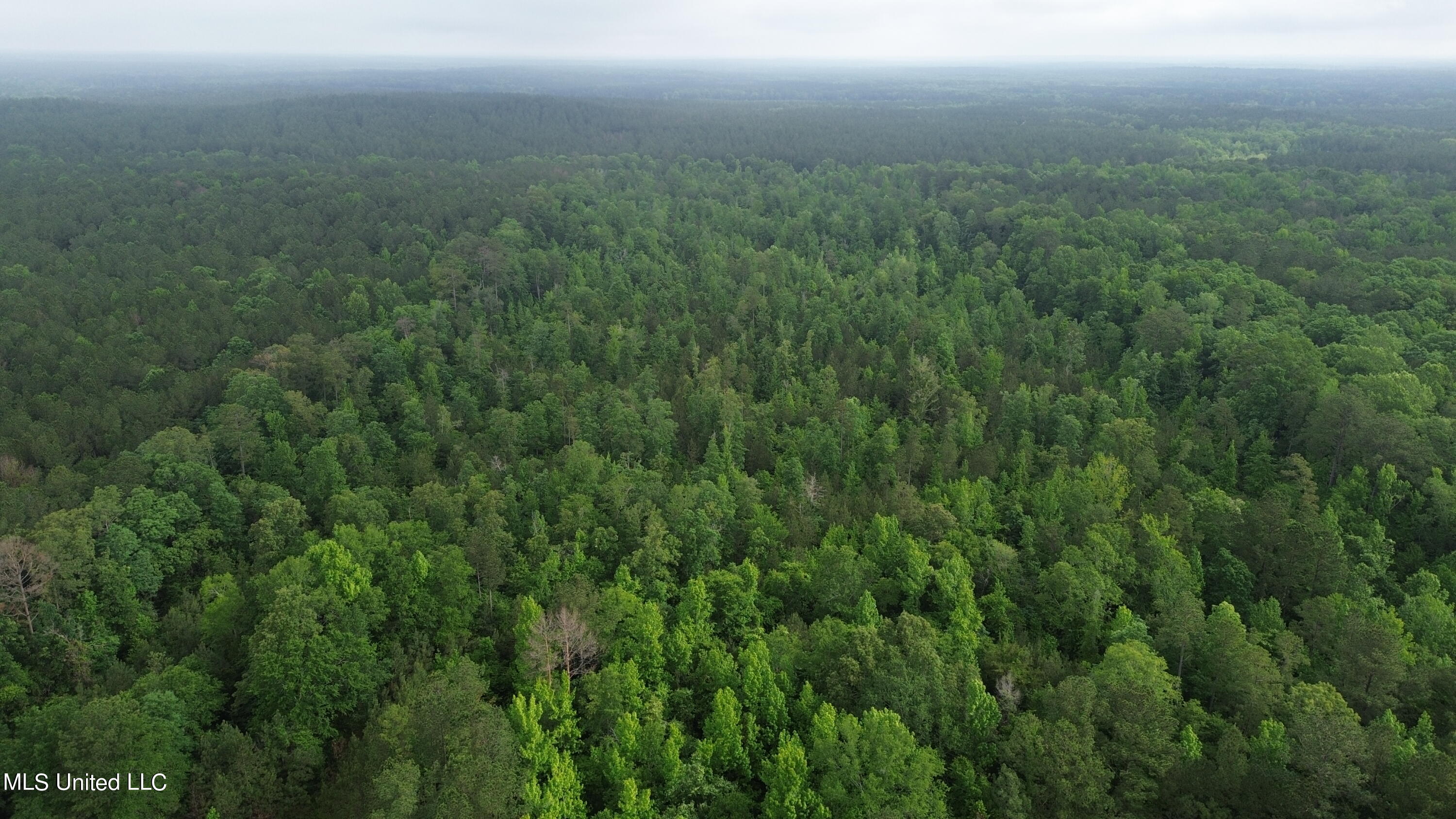 1885 Shiloh Road Brandon, MS 39042 - Photo 2 of 12 DJI_0010