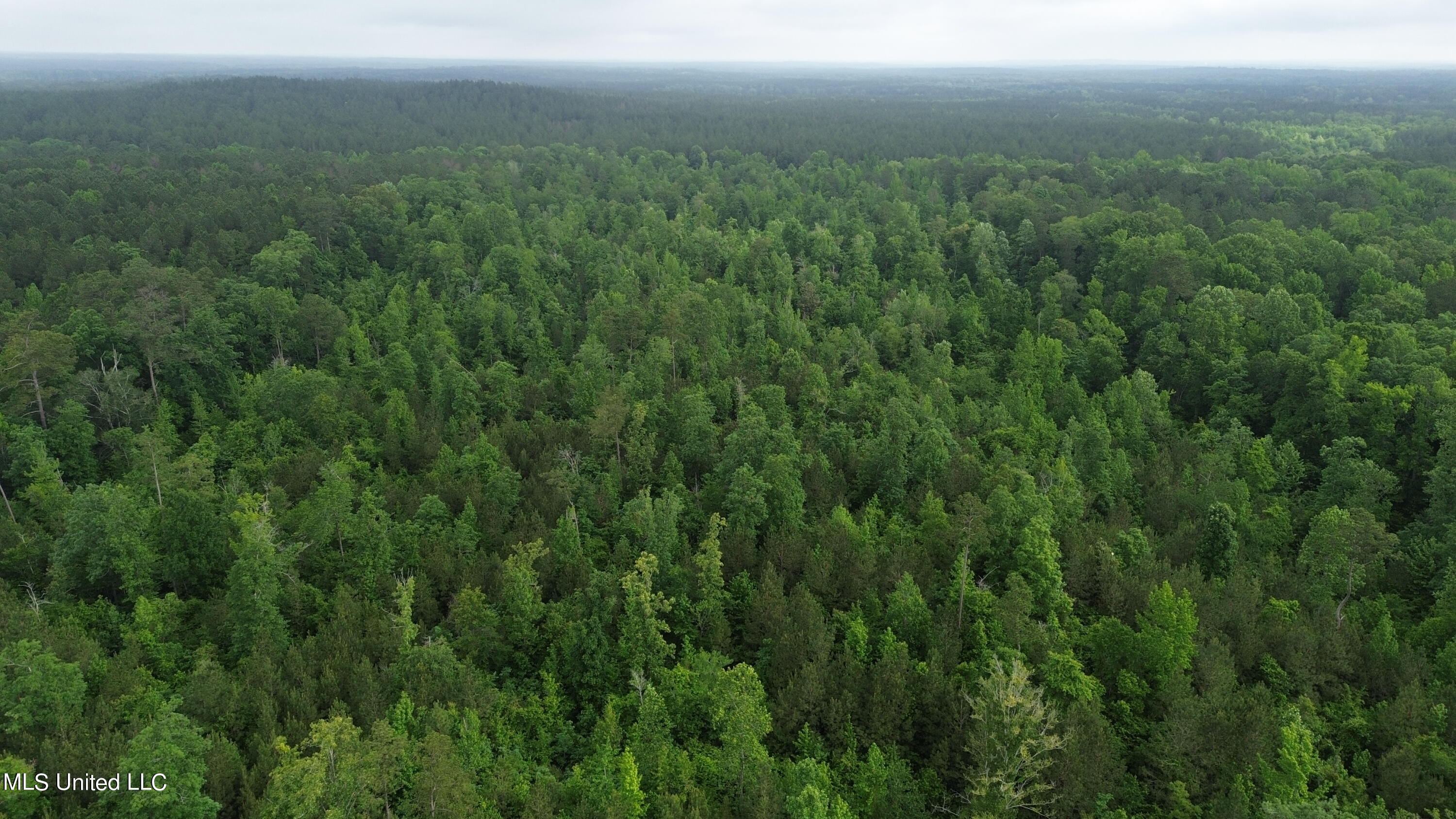 1885 Shiloh Road Brandon, MS 39042 - Photo 3 of 12 DJI_0011