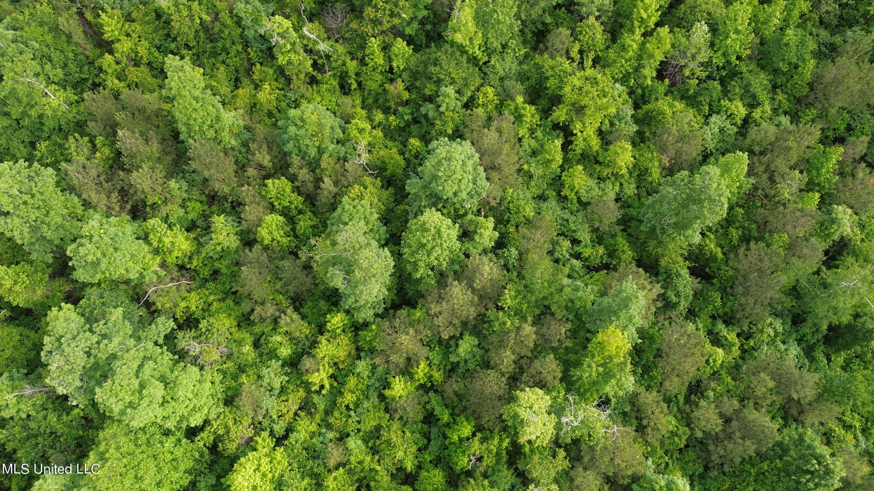 1885 Shiloh Road Brandon, MS 39042 - Photo 4 of 12 DJI_0012