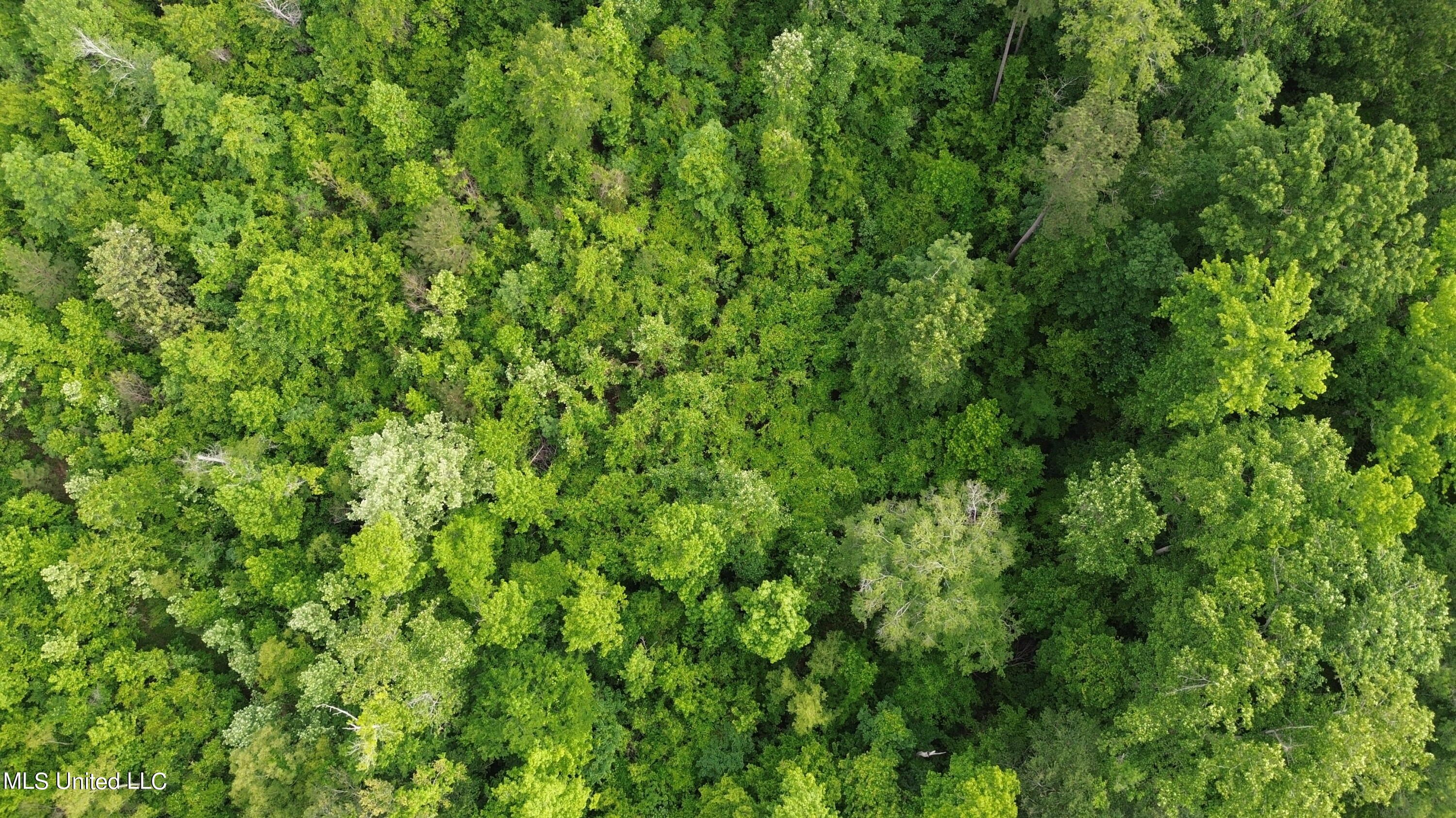 1885 Shiloh Road Brandon, MS 39042 - Photo 5 of 12 DJI_0013
