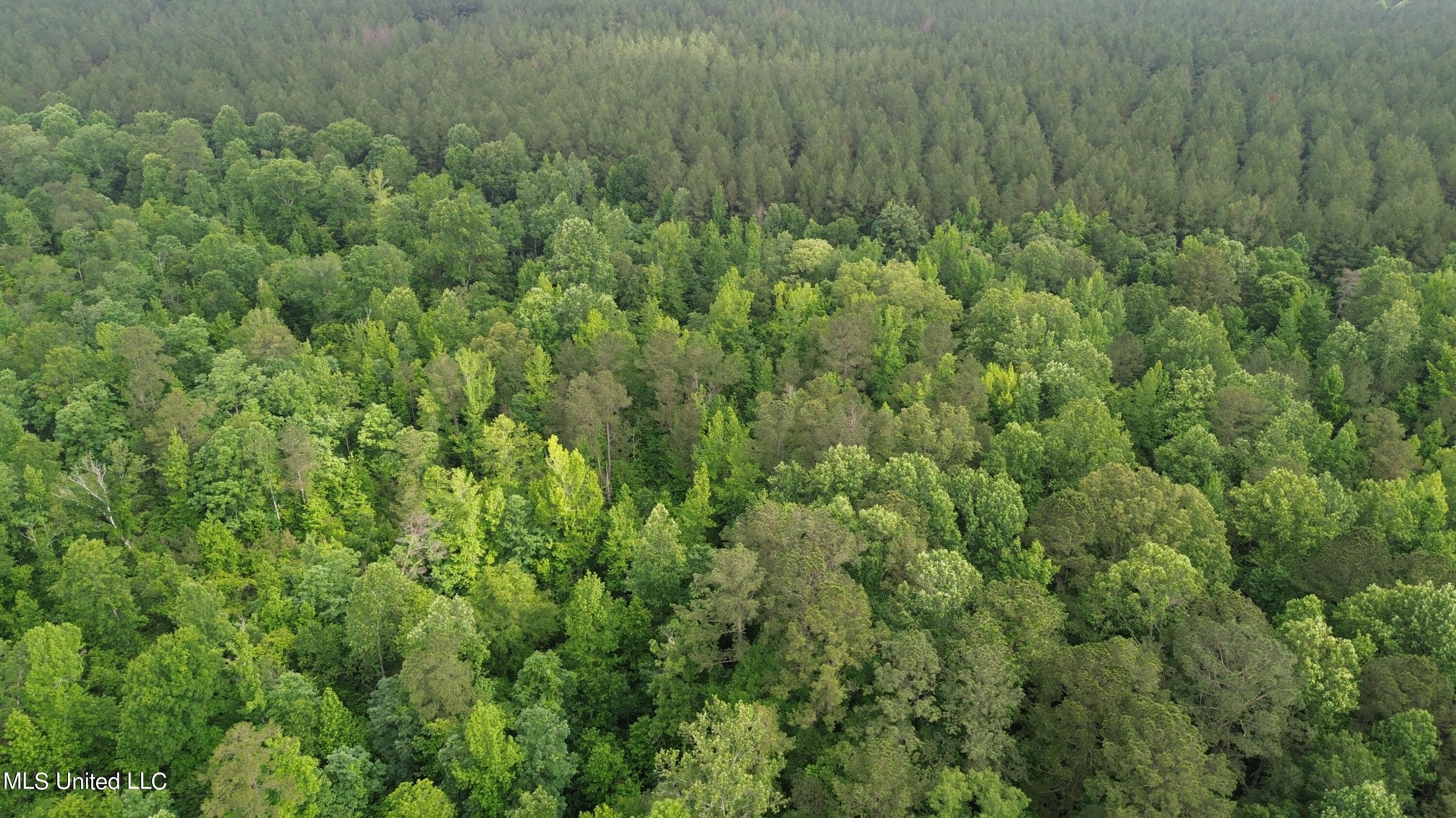 1885 Shiloh Road Brandon, MS 39042 - Photo 6 of 12 DJI_0014