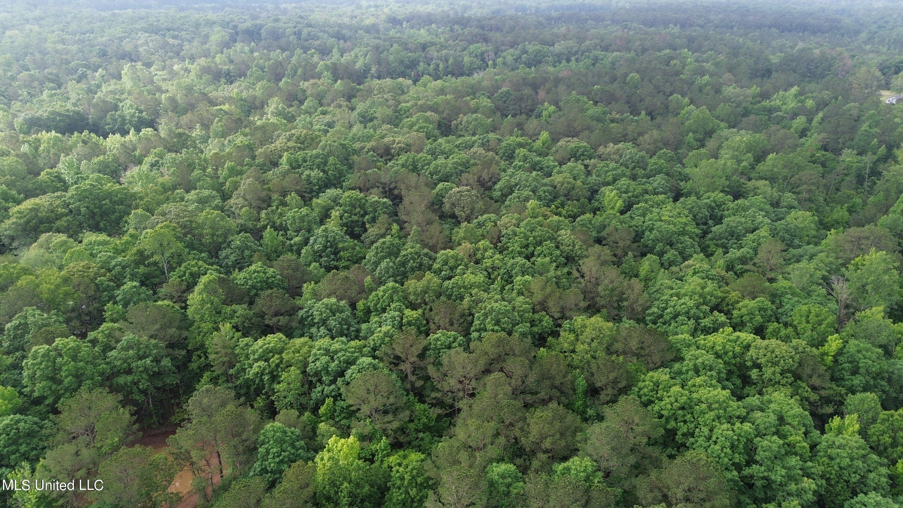 1885 Shiloh Road Brandon, MS 39042 - Photo 7 of 12 DJI_0015