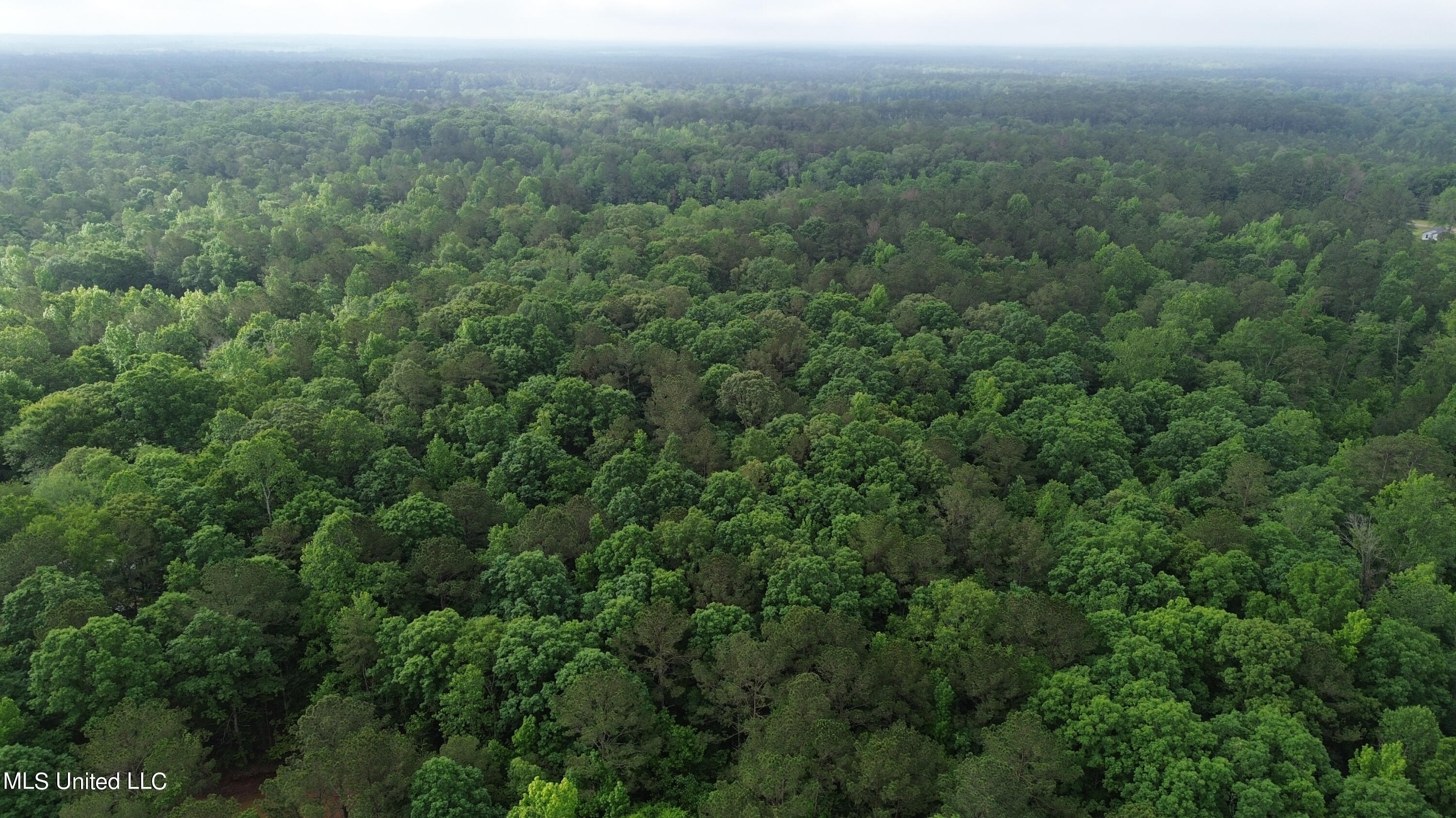 1885 Shiloh Road Brandon, MS 39042 - Photo 8 of 12 DJI_0016