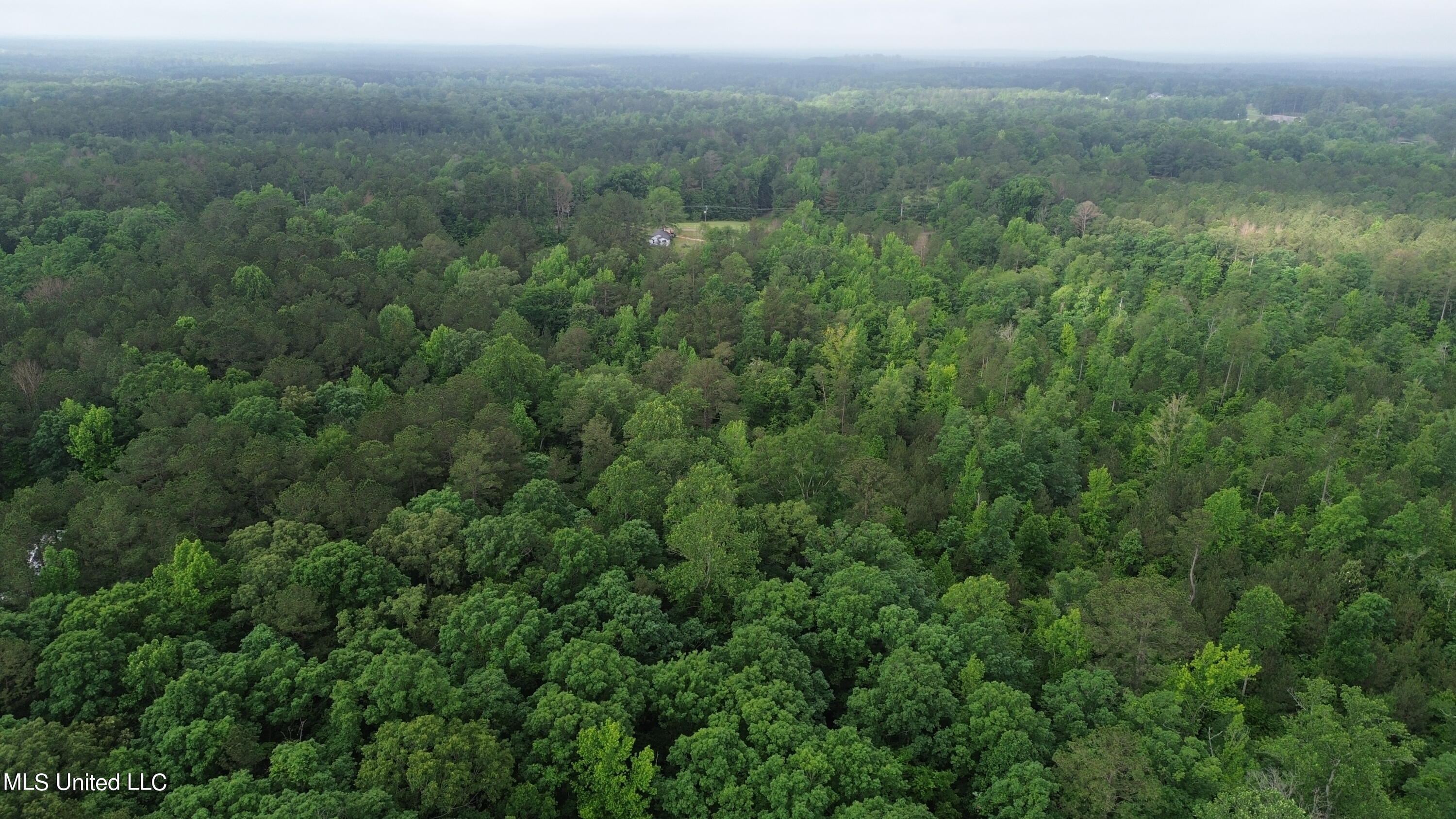 1885 Shiloh Road Brandon, MS 39042 - Photo 9 of 12 DJI_0017
