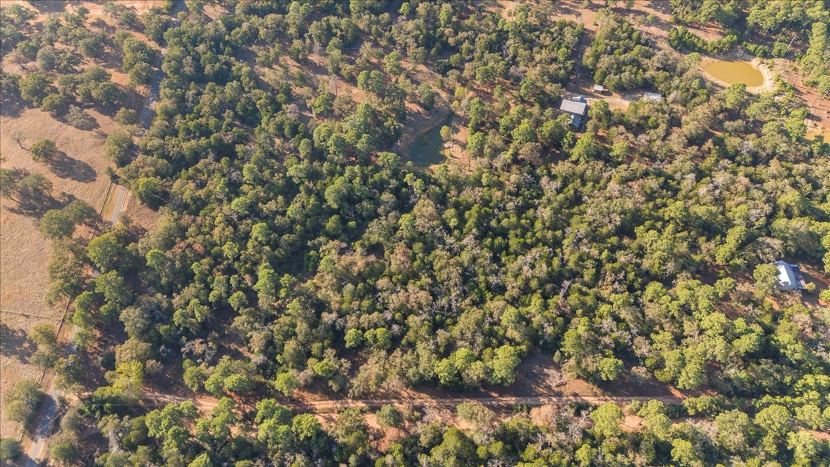 0 Copeland Hill Road, Unit 3C Smithville, TX 78957 - Photo 11 of 11