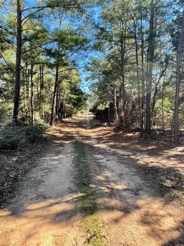 a view of dirt yard with a large tree