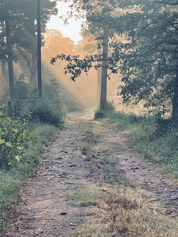 0 Copeland Hill Road, Unit 3C Smithville, TX 78957 - Photo 5 of 11 a view of a yard