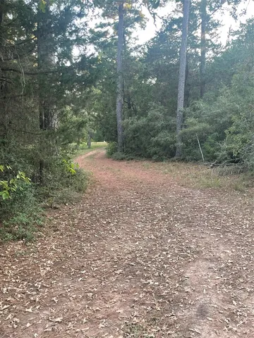 a view of a yard with trees