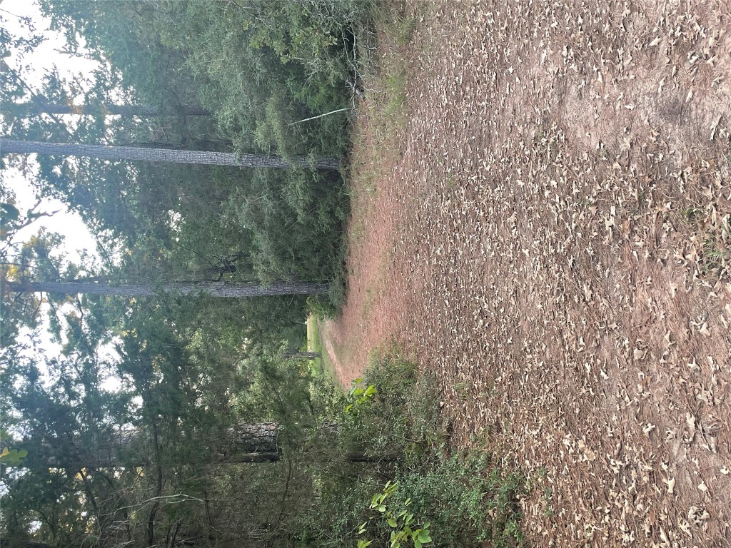 0 Copeland Hill Road, Unit 3C Smithville, TX 78957 - Photo 6 of 11 a view of a yard with trees