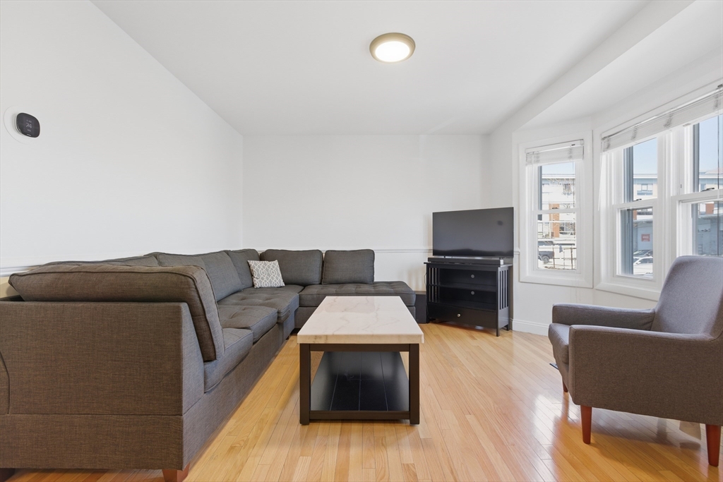 281 West 2nd Street, Unit A1 Boston, MA 02127 - Photo 2 of 17 a living room with furniture a flat screen tv and a fireplace