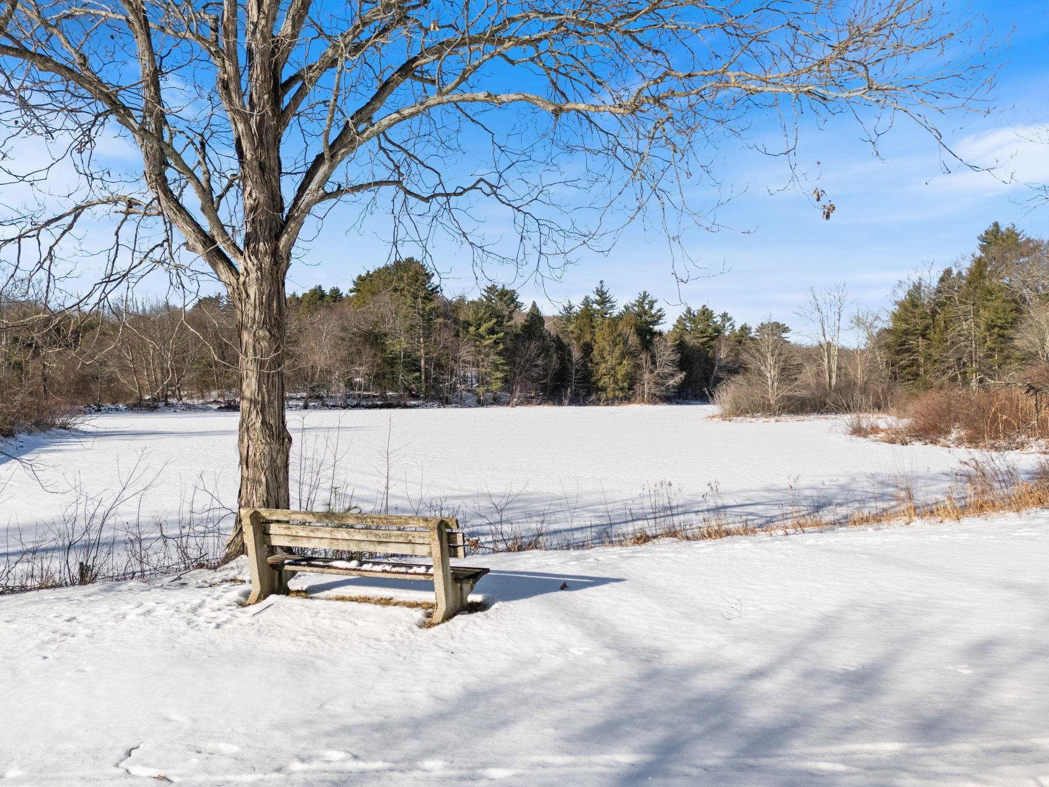 109 Scribner Road Fremont, NH 03044 - Photo 28 of 41