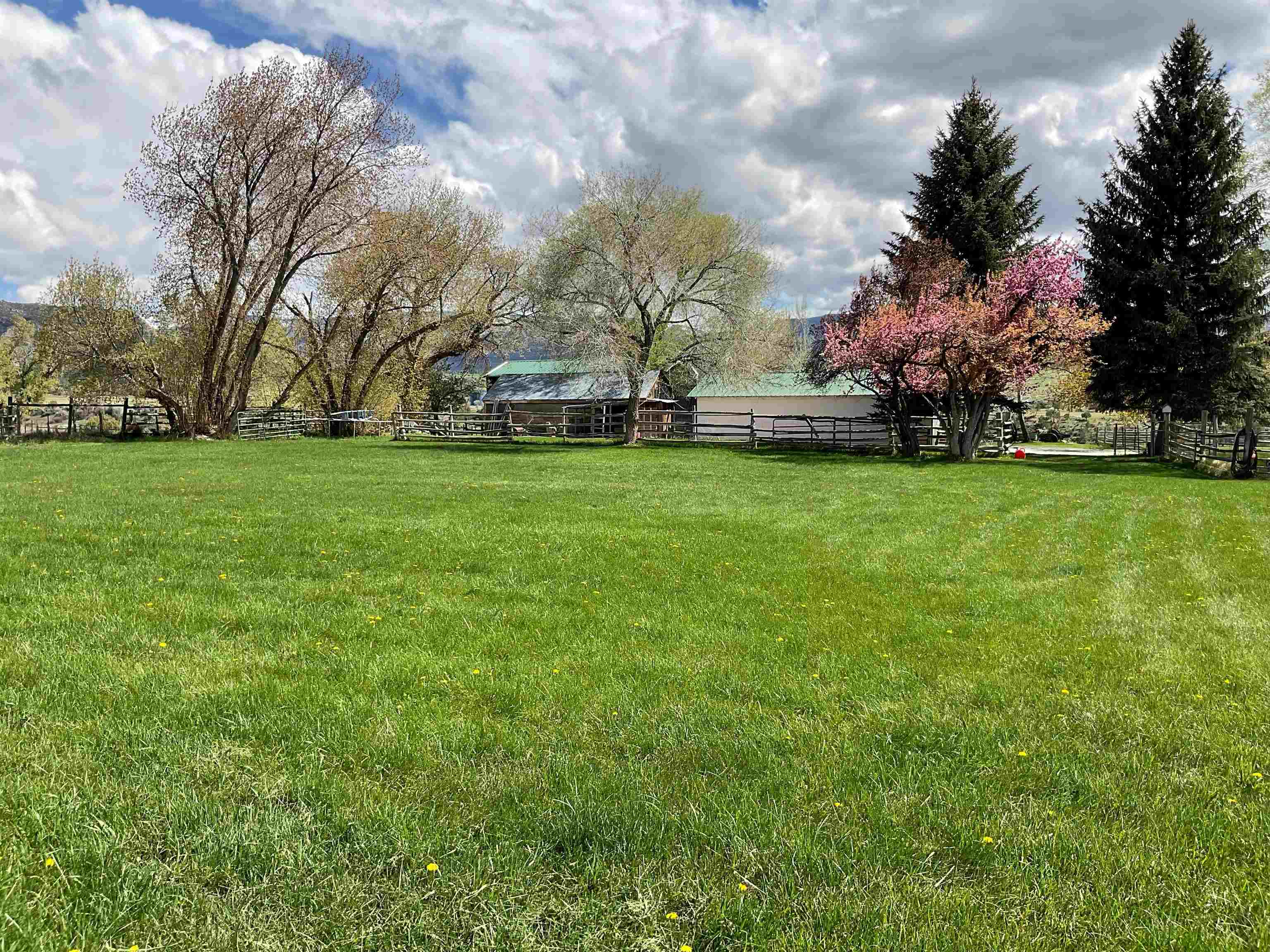 58590 Pe 3/10 Road Collbran, CO 81624 - Photo 4 of 41