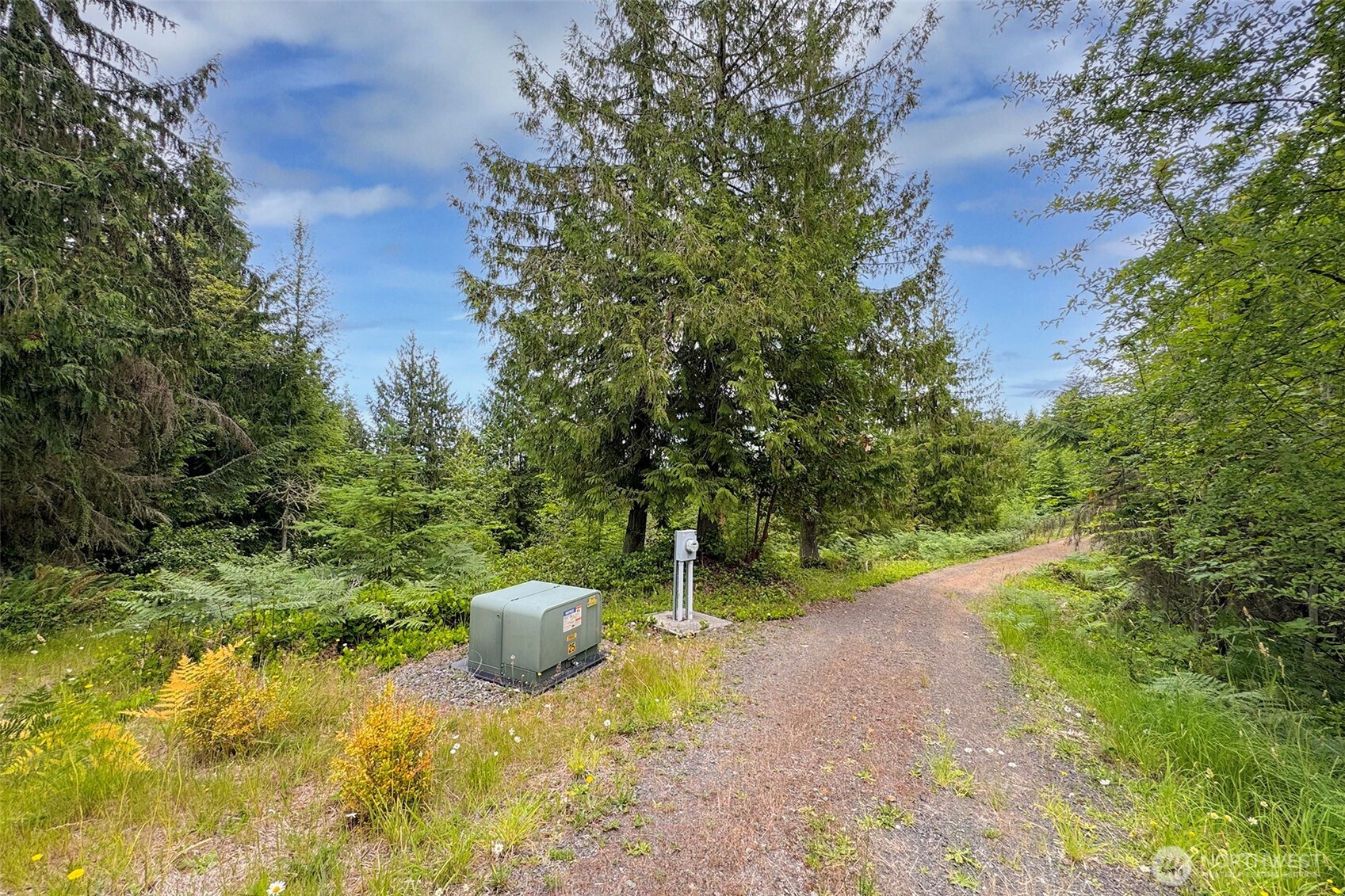 445 Watershed Road Port Angeles, WA 98362 - Photo 21 of 38 Gallery Image 21
