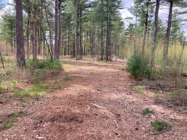 $66,930 | Lot 2 Surely Drive, Siren, WI 54872