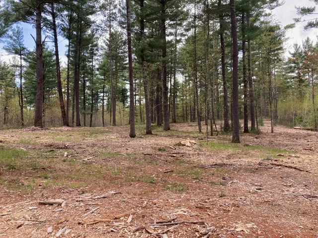 $66,930 | Lot 2 Surely Drive, Siren, WI 54872