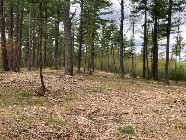 $66,930 | Lot 2 Surely Drive, Siren, WI 54872