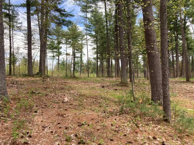 $66,930 | Lot 2 Surely Drive, Siren, WI 54872